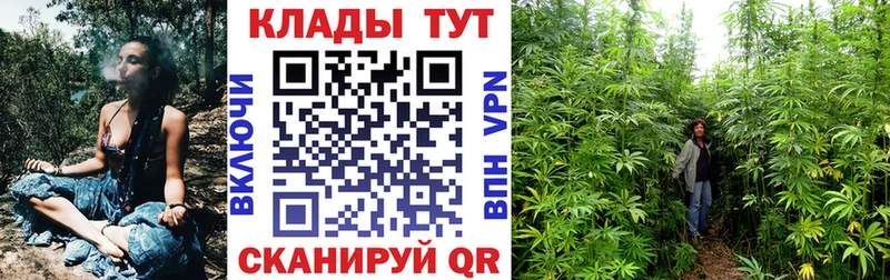 Где купить наркоту Новопавловск МАРИХУАНА  Псилоцибиновые грибы  Амфетамин  Меф мяу мяу  COCAIN 